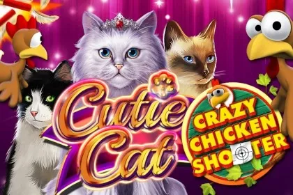 Cutie Cat Crazy Chicken Shooter – Chicken Road Casino Italia